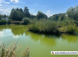 vand-teren-3500-mp-cu-lac-de-peste-1300-mp-stalpeni-arges-1