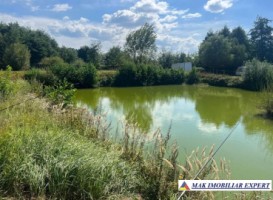 vand-teren-3500-mp-cu-lac-de-peste-1300-mp-stalpeni-arges-3