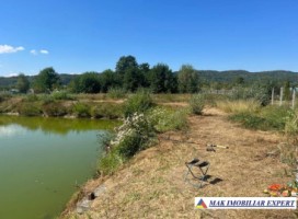 vand-teren-3500-mp-cu-lac-de-peste-1300-mp-stalpeni-arges-2