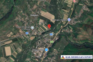 vand-teren-3500-mp-cu-lac-de-peste-1300-mp-stalpeni-arges-9