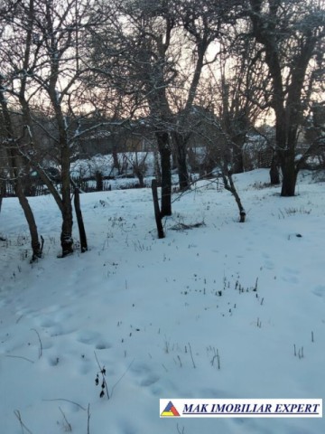 casa-musceleana-3-cam-teren-1000-mp-in-matau-mioarele-arges-4