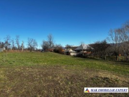 vand-teren-intravilan-2350-mp-in-galesu-bradulet-arges-8