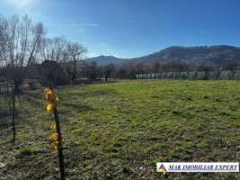 vand-teren-intravilan-2350-mp-in-galesu-bradulet-arges-3