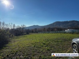 vand-teren-intravilan-2350-mp-in-galesu-bradulet-arges-4