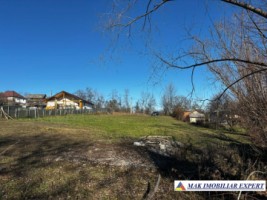 vand-teren-intravilan-2350-mp-in-galesu-bradulet-arges-10