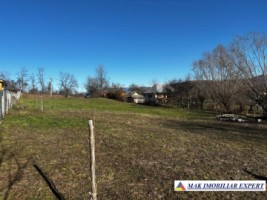 vand-teren-intravilan-2350-mp-in-galesu-bradulet-arges-11