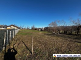 vand-teren-intravilan-2350-mp-in-galesu-bradulet-arges-13