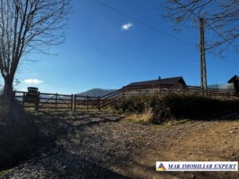 vand-teren-intravilan-2350-mp-in-galesu-bradulet-arges-19