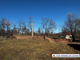 vand-teren-intravilan-2350-mp-in-galesu-bradulet-arges-17