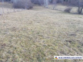 teren-intraextravilan-4800-mp-in-poduri-leresti-arges