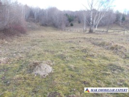teren-intraextravilan-4800-mp-in-poduri-leresti-arges-1