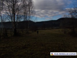 teren-intraextravilan-4800-mp-in-poduri-leresti-arges-4