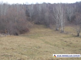 teren-intraextravilan-4800-mp-in-poduri-leresti-arges-2