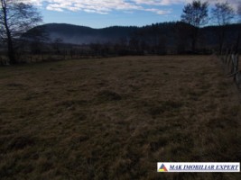 teren-intraextravilan-4800-mp-in-poduri-leresti-arges-3