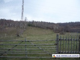 teren-intraextravilan-4800-mp-in-poduri-leresti-arges-6