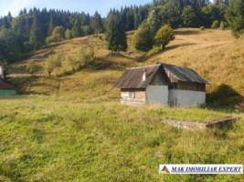 vila-5-camere-teren-9100-mp-in-rucar-satic-arges-6