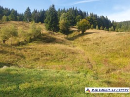 vila-5-camere-teren-9100-mp-in-rucar-satic-arges-8