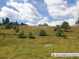 teren-intravilan-3160-mp-in-dambovicioara-ciocanu-arges