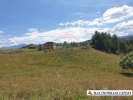 teren-intravilan-3160-mp-in-dambovicioara-ciocanu-arges-1