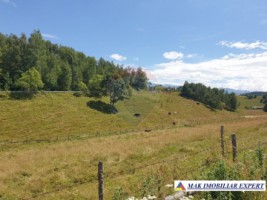 teren-intravilan-3160-mp-in-dambovicioara-ciocanu-arges-2