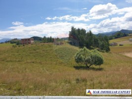 teren-intravilan-3160-mp-in-dambovicioara-ciocanu-arges-6