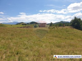 teren-intravilan-3160-mp-in-dambovicioara-ciocanu-arges-7