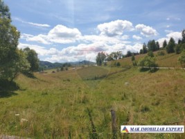 teren-intravilan-3160-mp-in-dambovicioara-ciocanu-arges-8