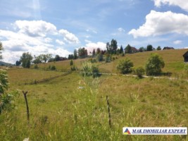teren-intravilan-3160-mp-in-dambovicioara-ciocanu-arges-9