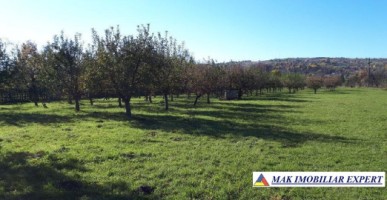 vand-teren-intravilan-7000-mp-in-berevoiesti-arges