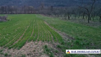teren-de-vanzare-2000-mp-in-davidesti-arges