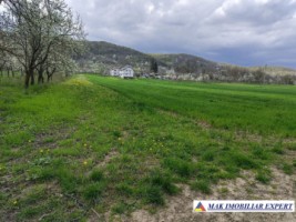 teren-de-vanzare-2000-mp-in-davidesti-arges-1