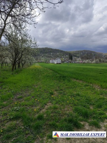teren-de-vanzare-2000-mp-in-davidesti-arges-2