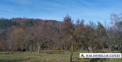 teren-intravilan-4500-mp-voinesti-leresti-arges-6