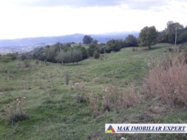teren-intravilan-5764-mp-cretisoara-campulung-muscel-arges-2