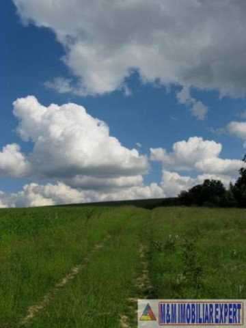 teren-intravilan-5764-mp-cretisoara-campulung-muscel-arges-1