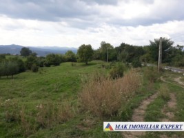 teren-intravilan-5764-mp-cretisoara-campulung-muscel-arges-5