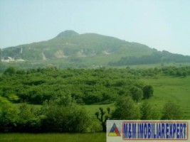 teren-intravilan-5764-mp-cretisoara-campulung-muscel-arges-7