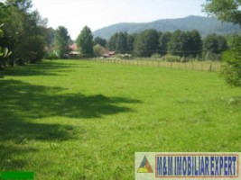 teren-2065-mp-intravilan-de-vanzare-in-bughea-de-jos-arges-6