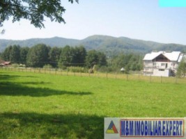 teren-2065-mp-intravilan-de-vanzare-in-bughea-de-jos-arges-5