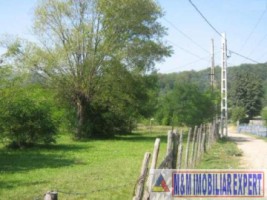 teren-2065-mp-intravilan-de-vanzare-in-bughea-de-jos-arges-4