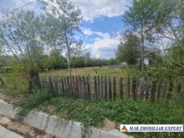 teren-4000-mp-intravilan-bughea-de-sus-arges-de-vanzare-1