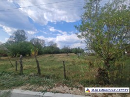 teren-4000-mp-intravilan-bughea-de-sus-arges-de-vanzare-2