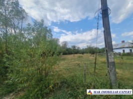 teren-4000-mp-intravilan-bughea-de-sus-arges-de-vanzare-3