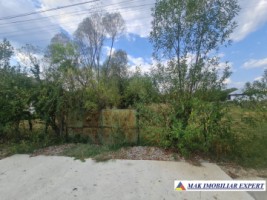 teren-4000-mp-intravilan-bughea-de-sus-arges-de-vanzare-4