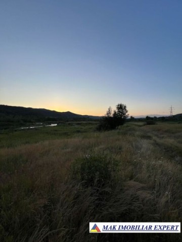 vand-teren-6-ha-extravilan-in-mihaesti-arges-2