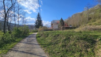 brebu-intravilan-1800-mp-deschidere-29-ml-doar-16900-2