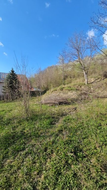 brebu-intravilan-1800-mp-deschidere-29-ml-doar-16900-16