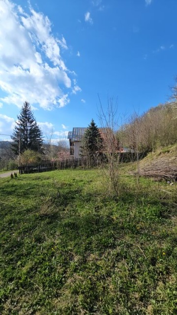 brebu-intravilan-1800-mp-deschidere-29-ml-doar-16900-15