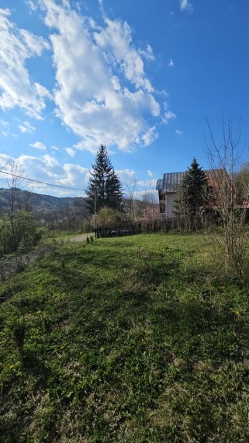 brebu-intravilan-1800-mp-deschidere-29-ml-doar-16900-13
