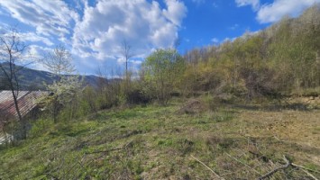 brebu-intravilan-1800-mp-deschidere-29-ml-doar-16900-5